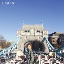 김성령 카카오 검색결과