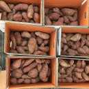 안금농장 이미지