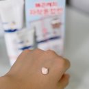 해달새 그리고 나무 | 다가오는 환절기 톤업 선크림, N통째 사용 중인 자작나무 수분톤업 선크림 내돈내산 후기