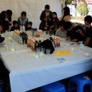 신기한 과학 탐구생활 이미지