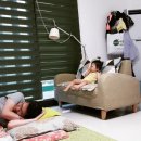 오복이PC 이미지