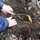 김동복농장 이미지