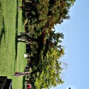 변조된 꿈 이미지