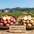 홍양농장 네이버블로그