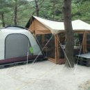 엄둔 솔밭 빌리지 이미지