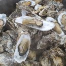 (유)바다향 이미지