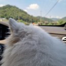 연곡가든 | 청주근교계곡백숙추천 연곡 가든 다람쥐마을 후기