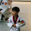 이화태권도 이미지