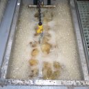 화성통운(주) 이미지