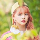 승지네