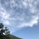 묘산상회
