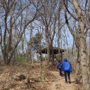 유수지공원 유아숲체험원 이미지