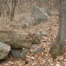 산속농원 이미지