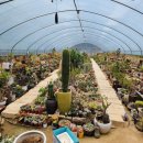 정렬농장 이미지