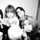 차가미소짓는곳 이미지