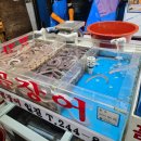 일진상회 이미지