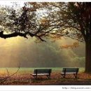 가로등 벤치 이미지