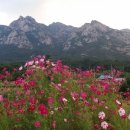 월출산고인돌펜션 이미지