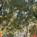 신원닷컴 | ✨不同的列车都在开往更好的方向✨