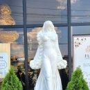 플로라 거창 이미지