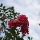 산유골 수목정원 이미지