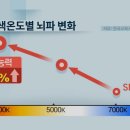 연향LED조명