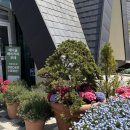 (주)지이티 | [고양/덕양구] 대형 베이커리 카페 추천 '배다골베이커리포레' 평일 방문 내돈내산 후기!