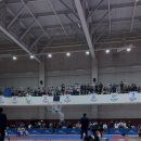 국가대표 SH 태권도장 이미지