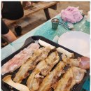 미르태권도 이미지