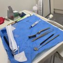 수서울치과의원 | 대구 감삼역 정성치과 상악 부분교정 3개월차 내돈내산 후기 (잇몸치료부터 충치까지)