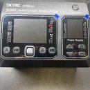 스카이알시 D750 충전기, 타미야 BT01판매 이미지