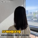 역 동 | 대구 신천동 미용실 SF헤어 동대구점 동대구역 오주아케어 후기