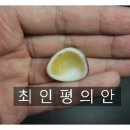 최인평의안 네이버블로그