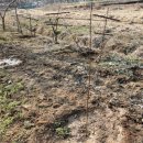 대월농장 이미지