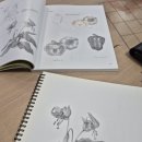 색연필 보타니컬 아트 이미지