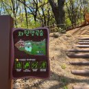 화원명곡숲 이미지