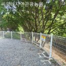 씨밀레자연관광농원 | [용인/캠핑장/글램핑] 씨밀레자연관광농원 글램핑 못지않은 감성 캠핑 체험