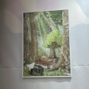 수수소프트 이미지