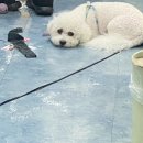 청강세탁소 이미지