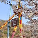 4/14 - 4/20 기록 : 황제백수 생활 끝,, 노예인생 시작이다,,