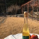 샤또나드리 이미지