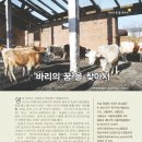 국제로타리 3640지구 잡지 총재월신에 소개된 젖소지원사업 이미지