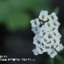 토요일 이미지