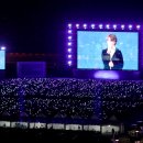 아미정보통신