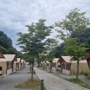 더포레스트 이천 이미지