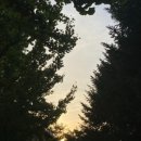 은행동다목적체육관 이미지