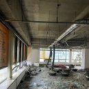 그레이스이인 이미지