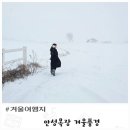 빠담목장 | 경기도 겨울 여행지 안성목장 눈오는날 빠담빠다 촬영지