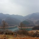 충주호 종댕이 이미지