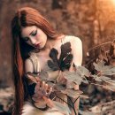 벌교초장집 이미지